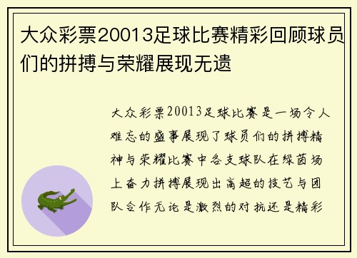 大众彩票20013足球比赛精彩回顾球员们的拼搏与荣耀展现无遗