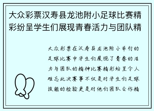 大众彩票汉寿县龙池附小足球比赛精彩纷呈学生们展现青春活力与团队精神