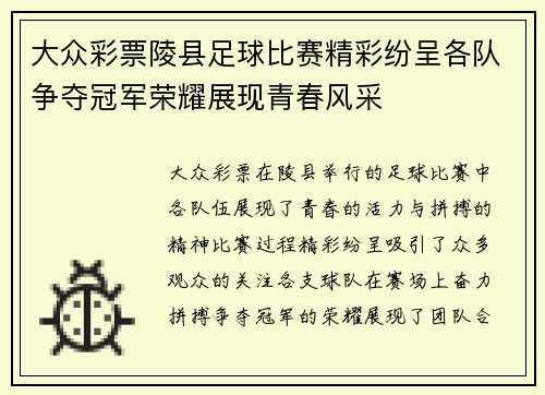 大众彩票陵县足球比赛精彩纷呈各队争夺冠军荣耀展现青春风采